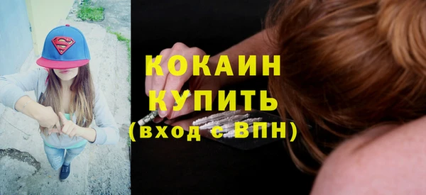 прущий лед Бородино