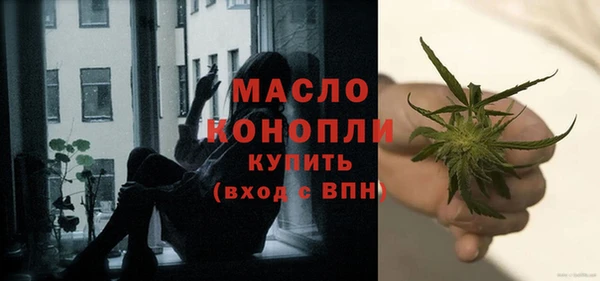 прущий лед Бородино