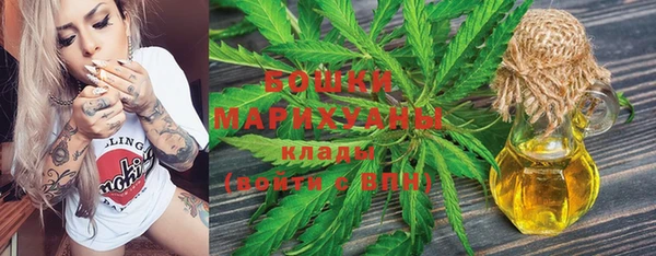 прущий лед Бородино