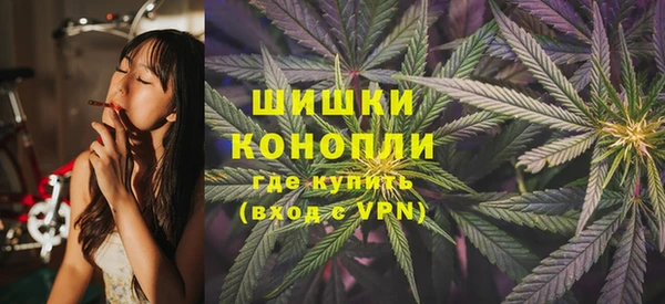 прущий лед Бородино