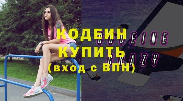 прущий лед Бородино