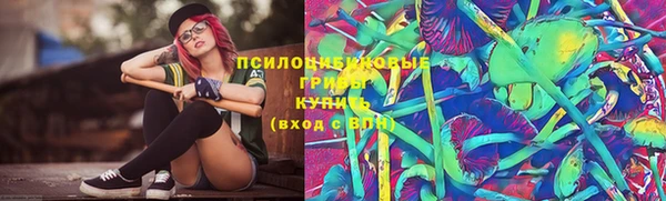 прущий лед Бородино