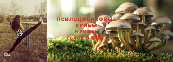 герыч Бронницы