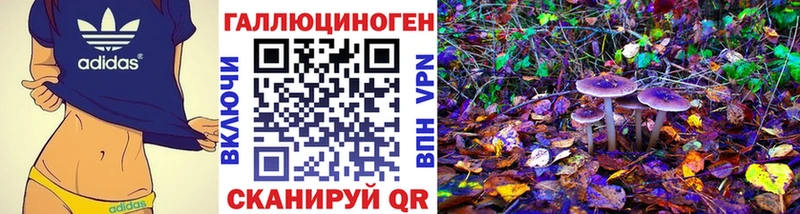 Псилоцибиновые грибы мухоморы  наркота  Нерюнгри 